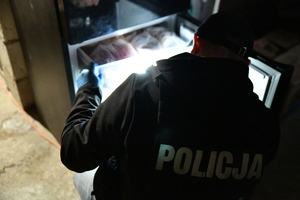 służby mundurowe podczas realizacji