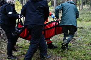 ĆWICZENIA POLSKO-LITEWSKIE