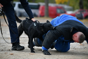 policjanci, strażnicy graniczni i uczniowie
