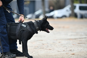 policjanci, strażnicy graniczni i uczniowie