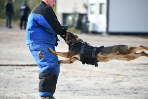 policjanci, strażnicy graniczni i uczniowie