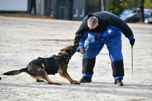 policjanci, strażnicy graniczni i uczniowie