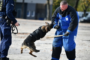 policjanci, strażnicy graniczni i uczniowie