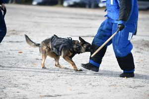 policjanci, strażnicy graniczni i uczniowie