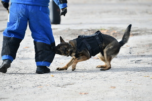 policjanci, strażnicy graniczni i uczniowie