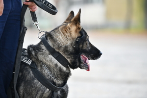 policjanci, strażnicy graniczni i uczniowie