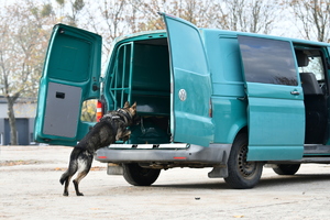 policjanci, strażnicy graniczni i uczniowie