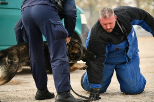 policjanci, strażnicy graniczni i uczniowie
