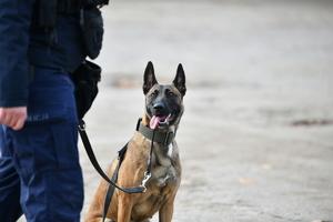 policjanci, strażnicy graniczni i uczniowie