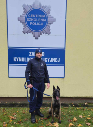 przewodnik policyjny z psem
