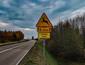 droga na poboczu znak