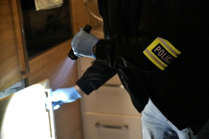 przeszukanie i zatrzymanie osoby