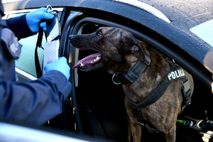 przeszukanie i zatrzymanie osoby