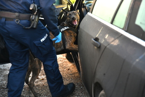 przeszukanie i zatrzymanie osoby