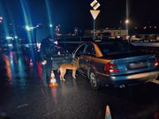 policjant z psem przy samochodzie