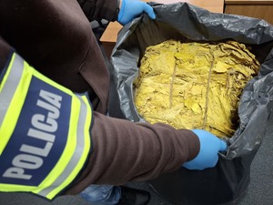 NIELEGALNY TYTOŃ ZABEZPIECZONY