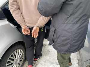 policjant wsadzający do radiowozu osobę w kajdankach