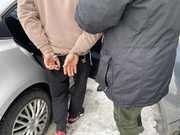 policjant wsadzający do radiowozu osobę w kajdankach