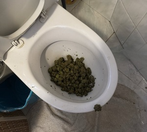 NARKOTYKI W POSTACI KRYSZTAŁU I SUSZU ZIELONEGO W TOALECIE, ZLEWIE I WANNIE