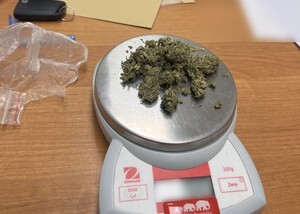 zielony susz na wadze elektronicznej