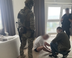 policjanci i osoba zatrzymana