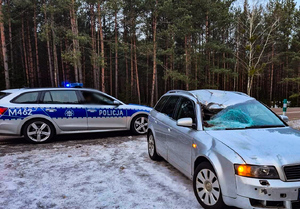 radiowóz i samochód w lesie