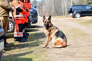 ćwiczenia policjantów