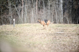 ćwiczenia policjantów
