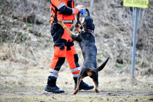 ćwiczenia policjantów