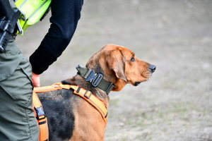 ćwiczenia policjantów