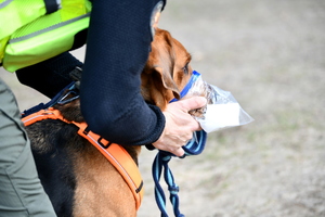 ćwiczenia policjantów