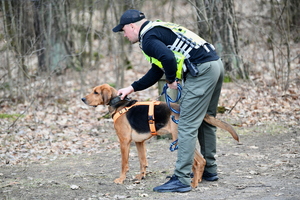 ćwiczenia policjantów