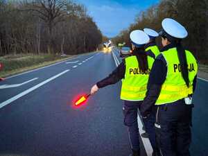 działania trzeźwość