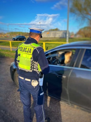 działania trzeźwość