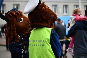 noc muzeów pokazy policyjne i stoiska promocyjne