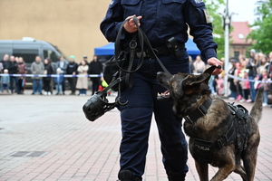 noc muzeum, pokazy policjantów i stoiska profilaktyczne