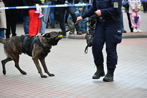 noc muzeum, pokazy policjantów i stoiska profilaktyczne