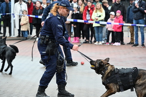 noc muzeum, pokazy policjantów i stoiska profilaktyczne