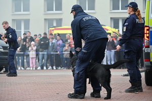 noc muzeum, pokazy policjantów i stoiska profilaktyczne