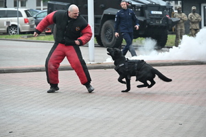 noc muzeum, pokazy policjantów i stoiska profilaktyczne