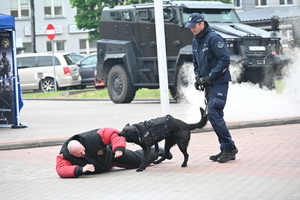 noc muzeum, pokazy policjantów i stoiska profilaktyczne