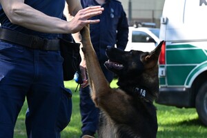 KOLEJNE SZKOLENIE TROPIK-9 NA TERENIE GARNIZONU PODLASKIEGO