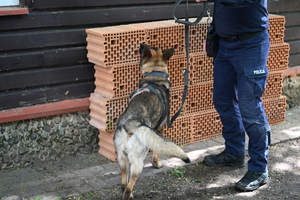 KOLEJNE SZKOLENIE TROPIK-9 NA TERENIE GARNIZONU PODLASKIEGO