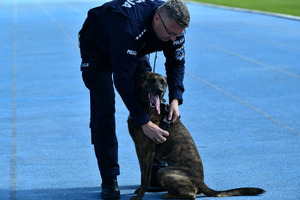 policjanci z psami służbowymi