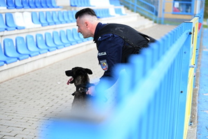 policjanci i psy służbowe