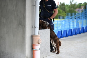 policjanci i psy służbowe