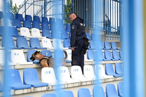 policjanci i psy służbowe