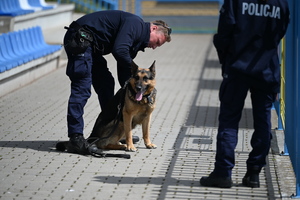 policjanci i psy służbowe