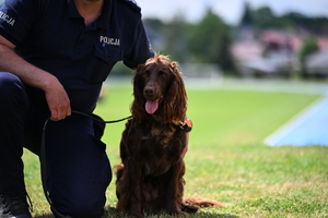 policjanci i psy służbowe