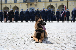 OBCHODY ŚWIĘTA POLICJI W GARNIZONIE PODLASKIM